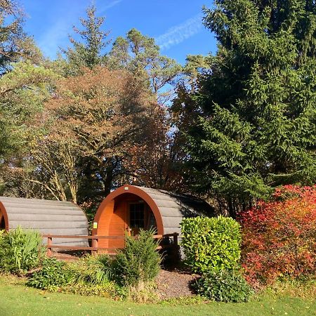 Glamping Hut - By The Way Campsite Tyndrum Esterno foto